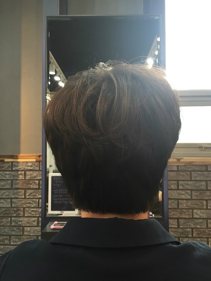 트레보헤어 이미지