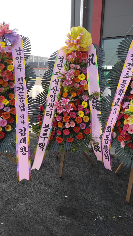 가나물류(주) 이미지
