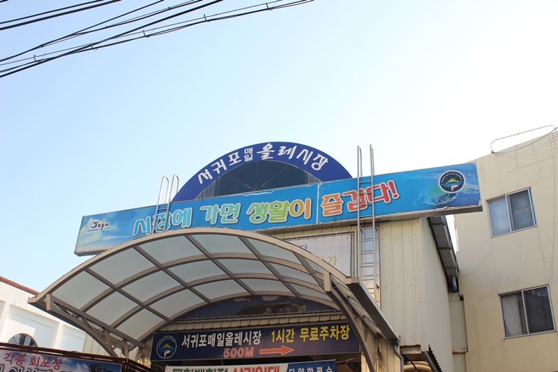 모닥치기 이미지