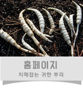 디엔씨무역 이미지