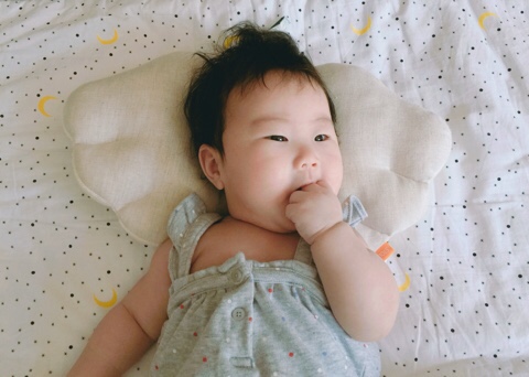 티지플라워 이미지