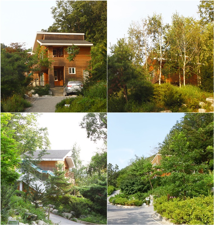 백야자연휴양림 이미지