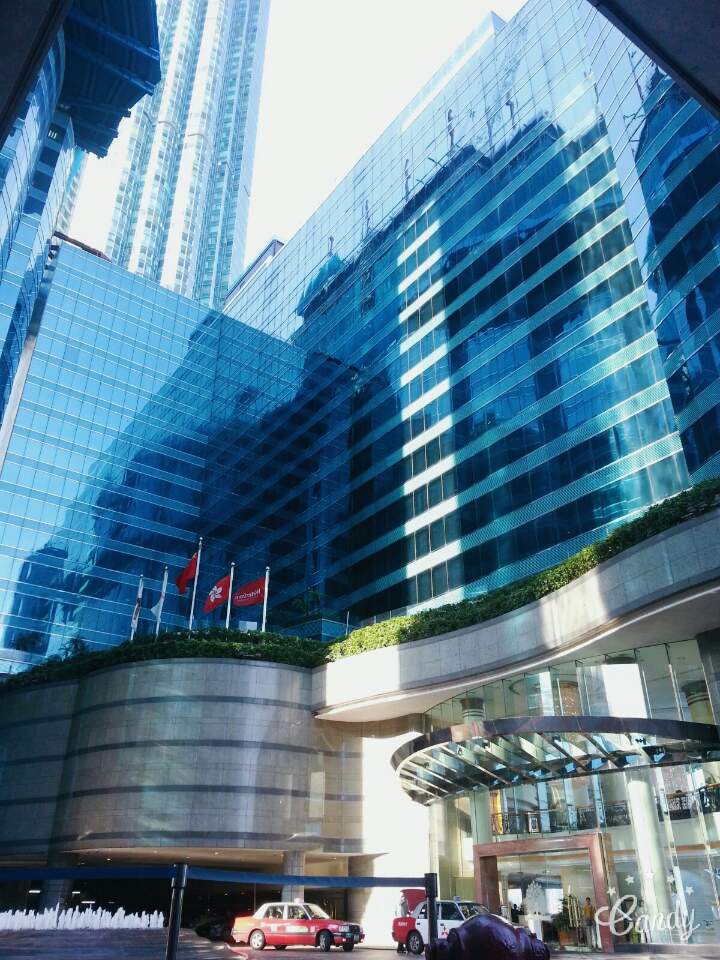 몽코 이미지
