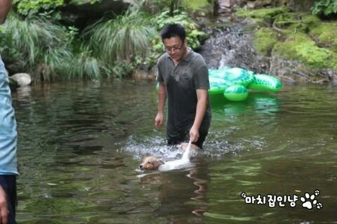 스타패밀리 이미지