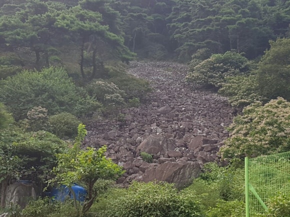 산골흑염소 이미지