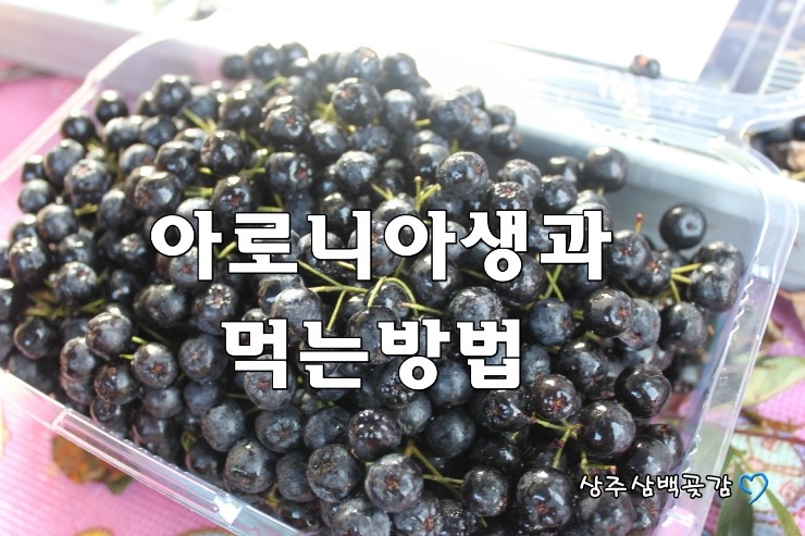 상주행복농장 이미지
