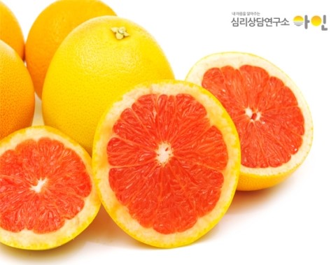 자몽자몽 이미지