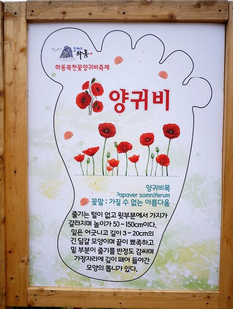 스튜디오 양귀비 이미지
