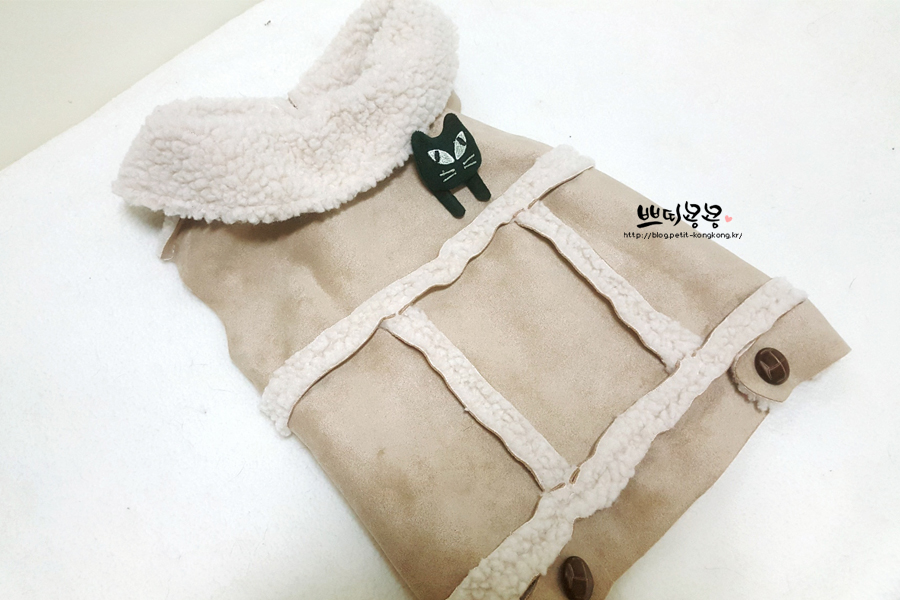 쁘띠콩 이미지