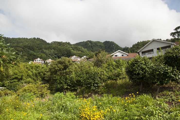 (주)대아울릉리조트 이미지