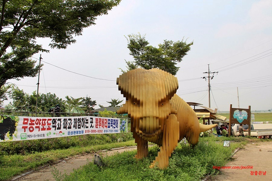 은성축산 이미지