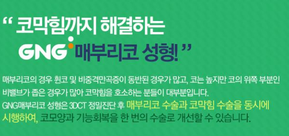 지앤지코 이미지