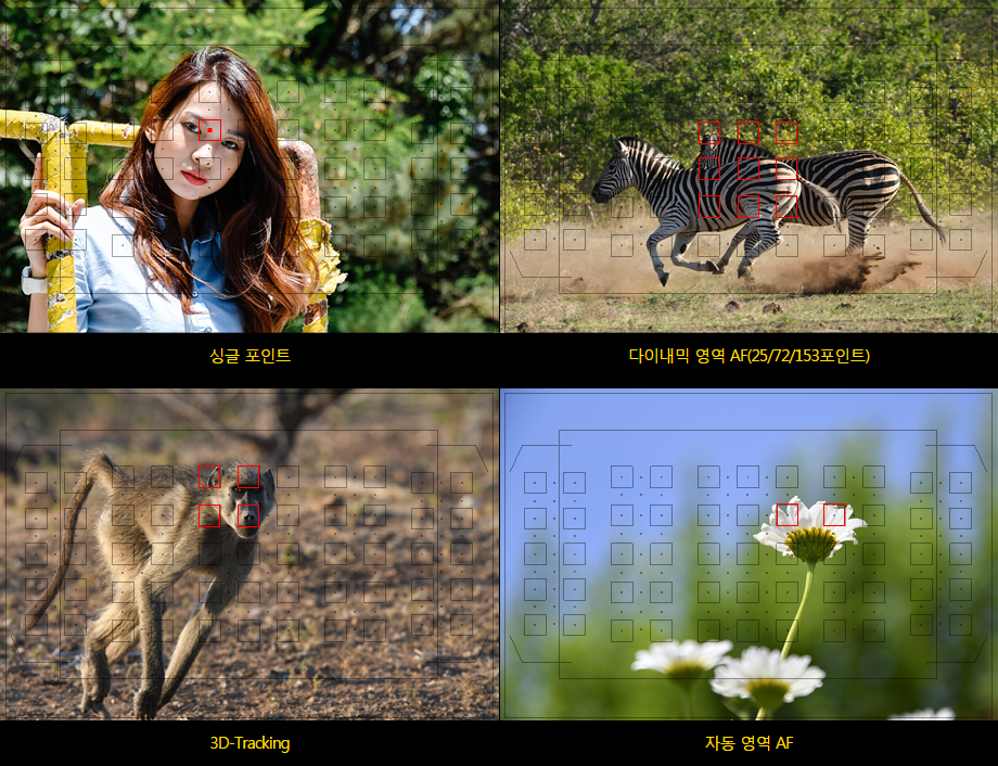 153시스템 이미지