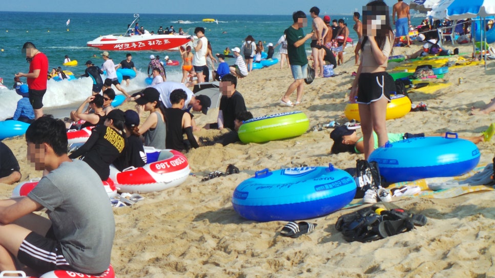 헤어위그 이미지