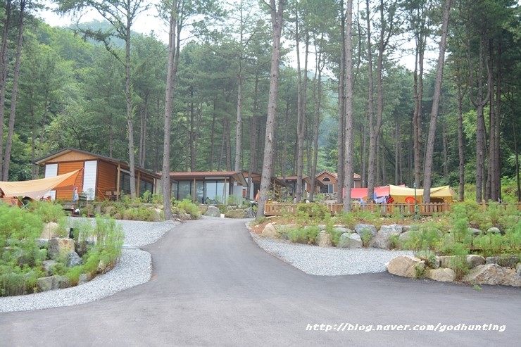 유명산힐링캠프 이미지