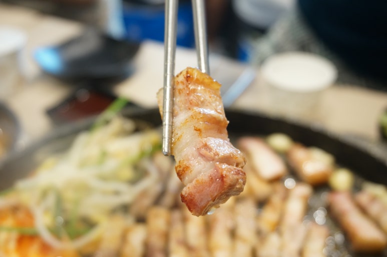 돼지대학교 이미지