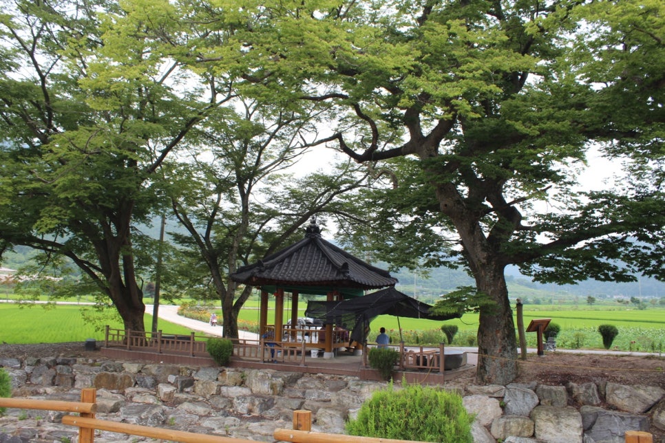 완주 원당교차로 이미지