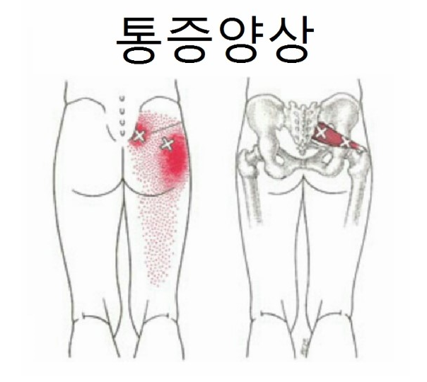 퍼스널트레이닝지니 이미지