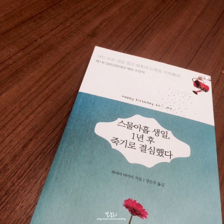 명동피자이야기 이미지