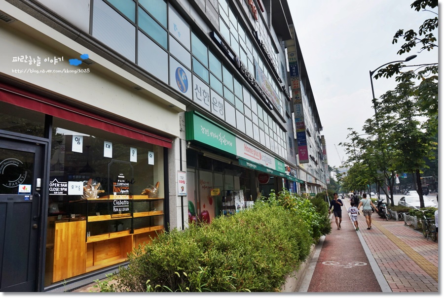카이로바른척추교정 이미지