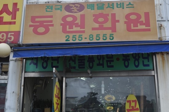 동원화원 이미지