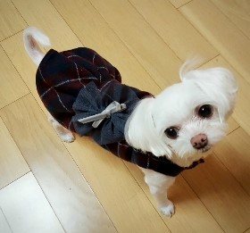 바느질이야기 이미지