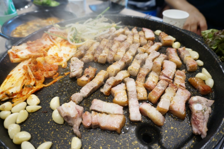 돼지대학교 이미지