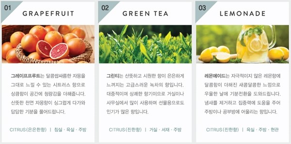 스메딘 이미지