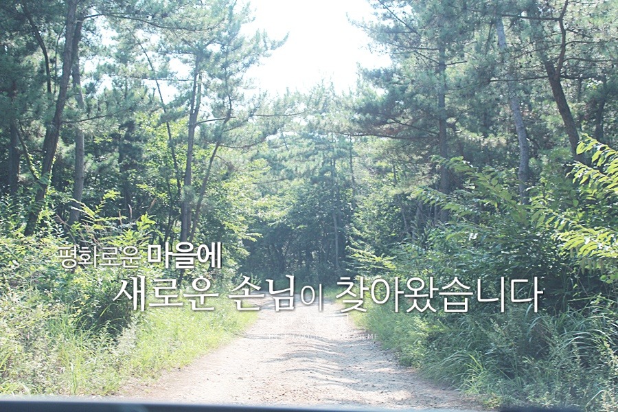 포르토펜션 이미지