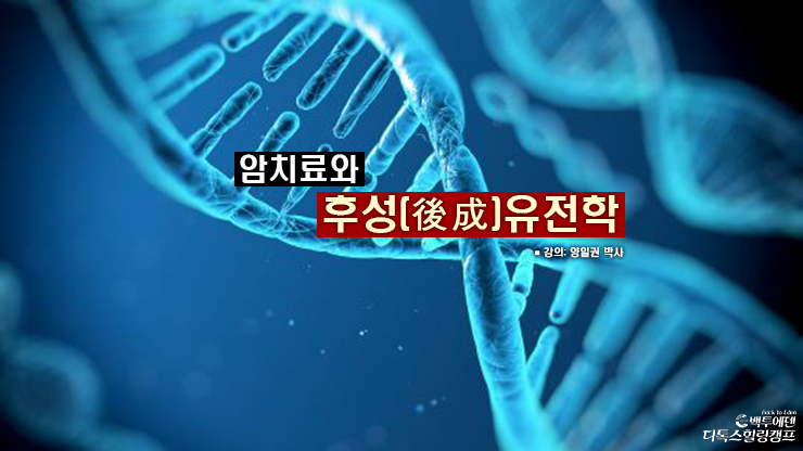 백투에덴힐링센터 이미지