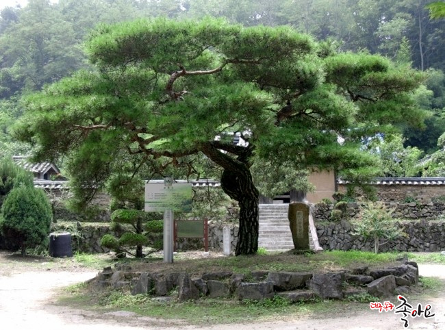 소나무회관 이미지