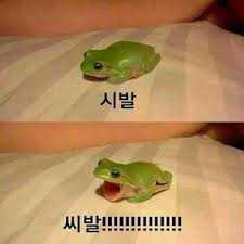 이안루 이미지