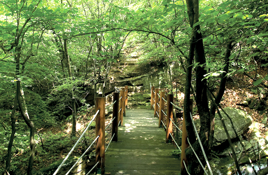 참호주 투어 이미지
