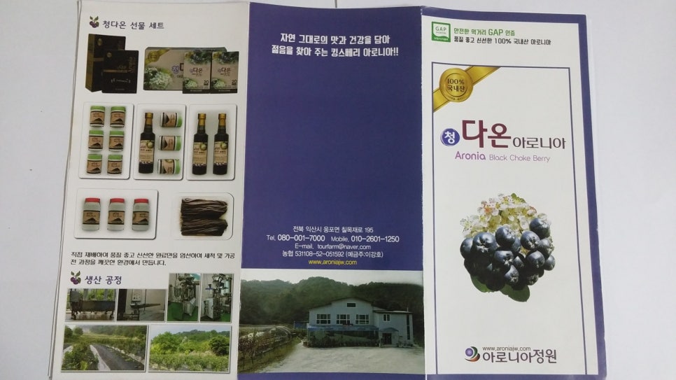 아로니아정원 이미지