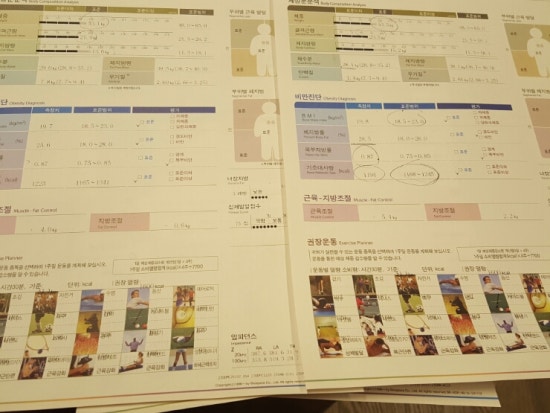 포톤테라 이미지