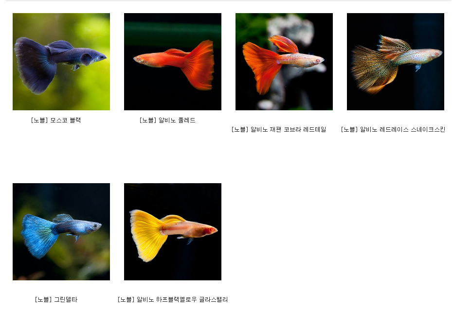 피알닷컴 이미지