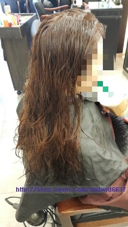 디토헤어 이미지