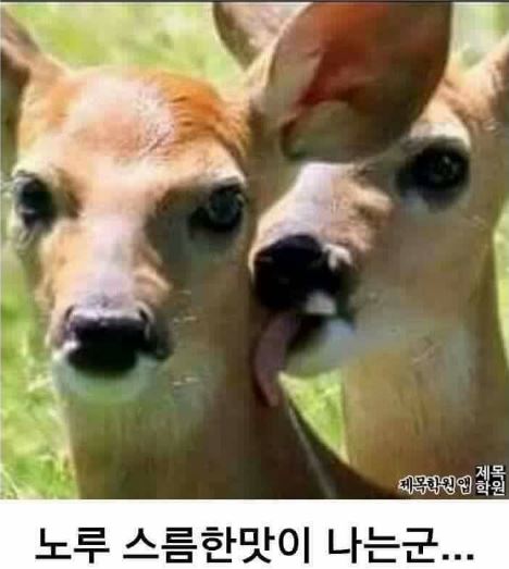 육회공작소 이미지