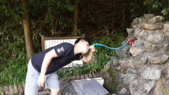 제일투어 이미지