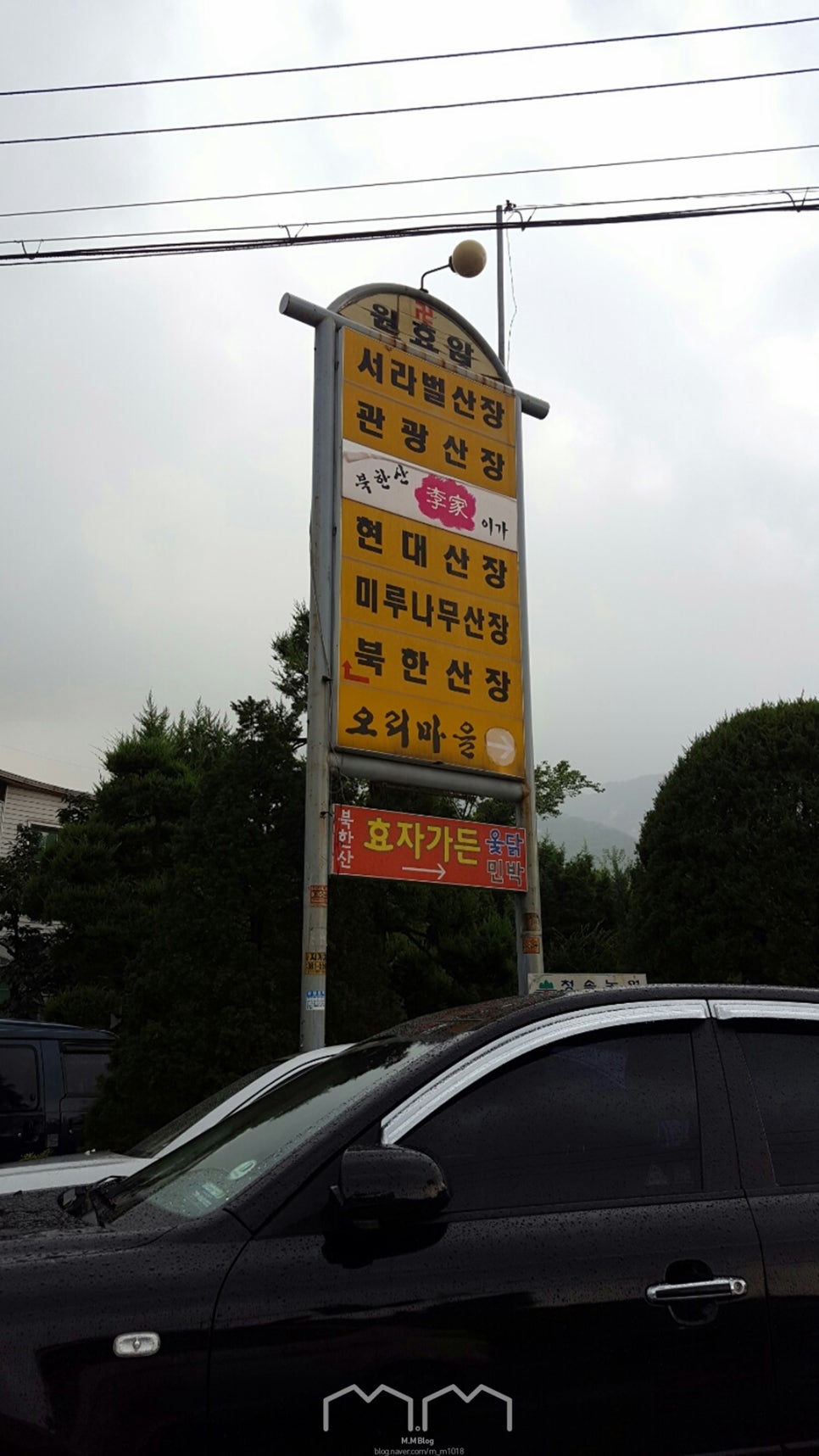 미루나무구이 이미지