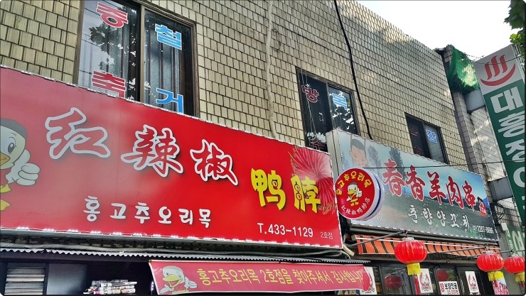 홍고추오리목 이미지