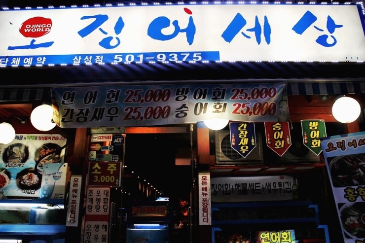오징어세상 이미지