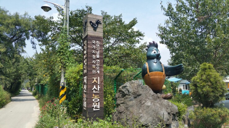 여기오계 이미지