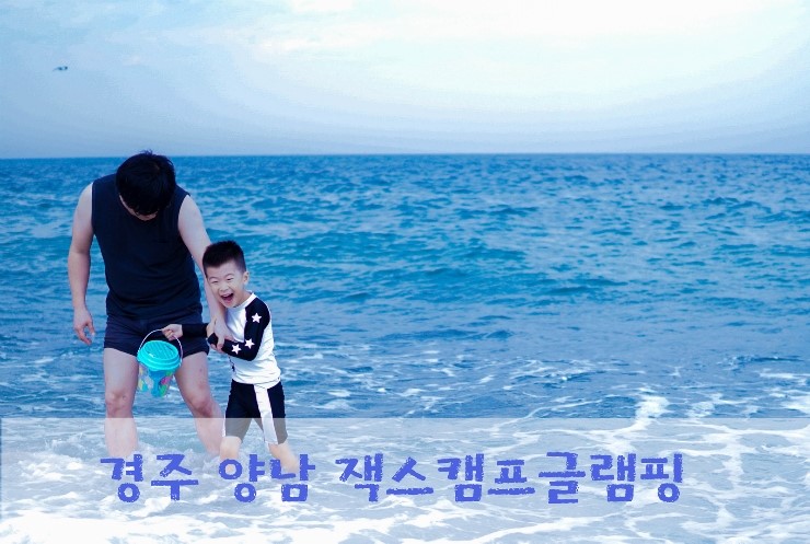 잭스캠프 이미지