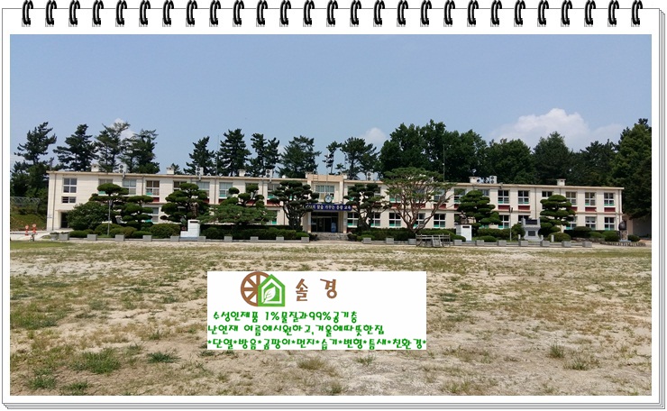 흥왕초등학교 이미지
