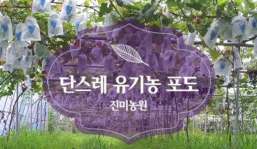 진미농원 이미지