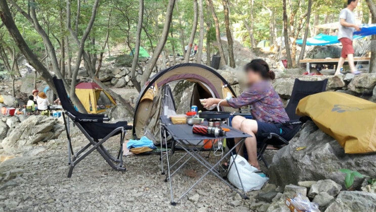 사지목나무그늘 이미지