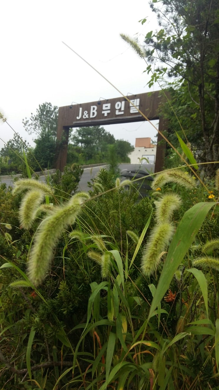 제이앤비무인텔 이미지