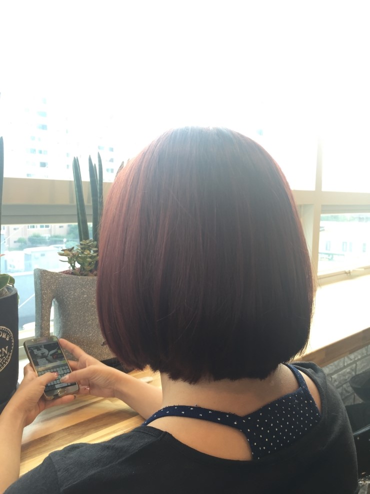 트레보헤어 이미지