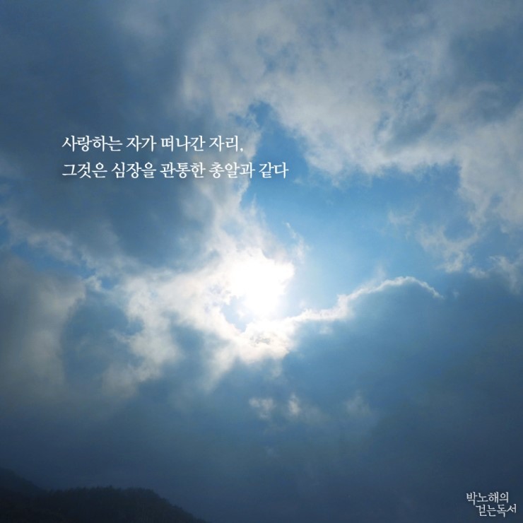 자자린 이미지